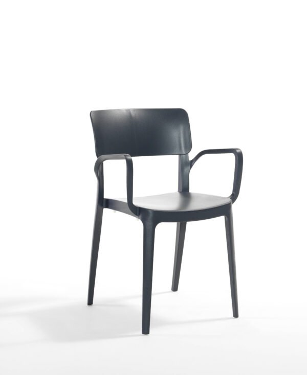 Panora Garden ArmChair