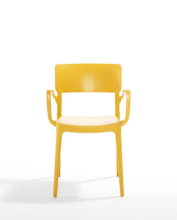 Panora Garden ArmChair