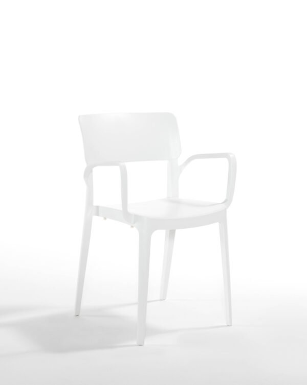 Panora Garden ArmChair