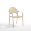 Tropic Outdoor ArmChair