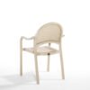 Tropic Outdoor ArmChair