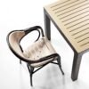 The Bamboo Garden Set 6