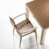 The Regnum Garden Set 6